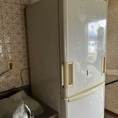 7日まで！冷蔵庫の画像