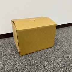 【未使用・新品・ロゴなし】ダンボール・100サイズ(10枚のお値段です！)の画像
