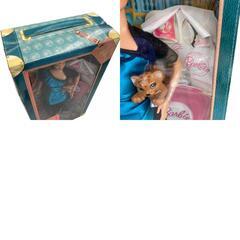 186000 Barbie バービー ドールオブザワールド　アルゼンチンArgentina [0000000001678]の画像