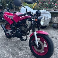 YSR50の画像