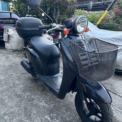 トゥデイ 原付①の画像