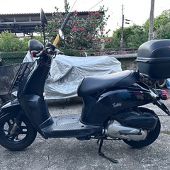 トゥデイ 原付①の画像