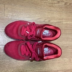 【ジャンク】NIKE  エアマックスZERO
の画像