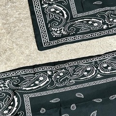 【新品未使用】ペイズリー柄  枕カバー（大）  2枚セットの画像