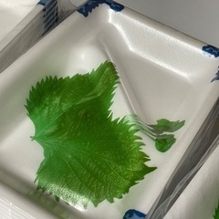 【未使用品】29枚ありますの画像