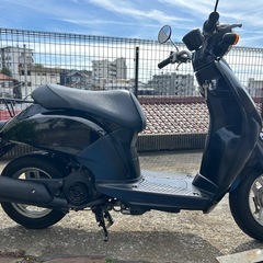 ホンダ　トゥデイ（TODAY）@神奈川県川崎市麻生区より4st 50cc原付スクーターの画像