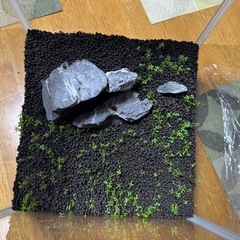 ２５キューブ水槽の画像