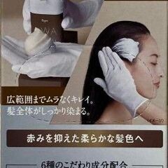 ビゲン 泡クリームカラー 3B キャメルブラウン【医薬部外品】の画像