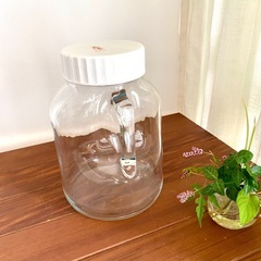 ガラス　保存瓶　果実酒　梅干し　発酵ジュース　梅ジュースの画像