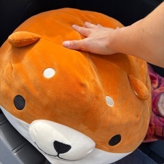 犬 ぬいぐるみの画像