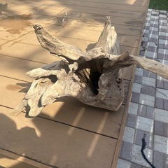 流木　大の画像