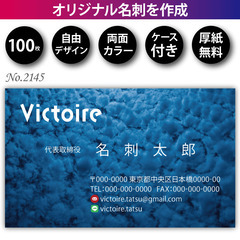 名刺印刷 100枚 両面 フルカラー 紙ケース付 No.2145