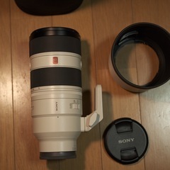 sony Fe70-200mmf2.8 Gmii gmaster れnレンズの画像