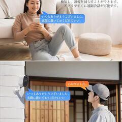 防犯カメラ 屋外 室内 300万画素 双方向通話 夜間カラー 人体検知 防水の画像