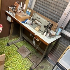 トルソーの画像