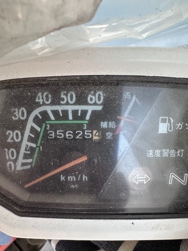 角目シャリー　CF50