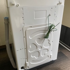 【美品】2024年製 アイリスオーヤマ 洗濯機 5.0kg IAW-T504の画像