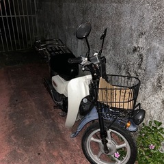 スズキ　バーディー50 カブ　原付
の画像