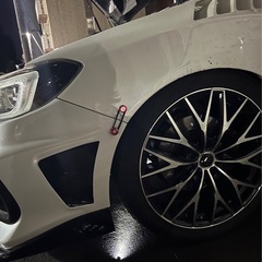 レオニス　19インチの画像