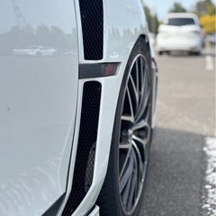 レオニス　19インチの画像