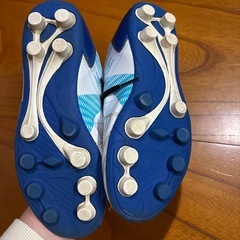 アンブロスパイク23.0cmの画像