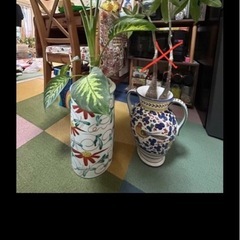 ②イタリア陶器、九谷焼、塊根植物、観葉植物の画像