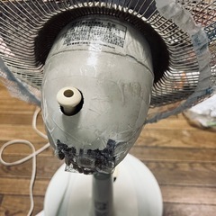 無料　扇風機　リモコン付き　の画像