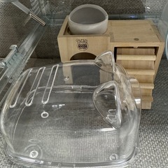 ハムスター　飼育セット　の画像
