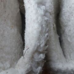 使用品です。の画像