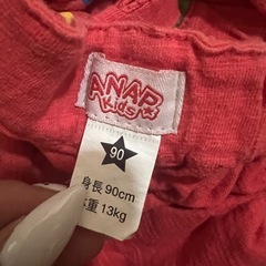 アナップキッズの画像