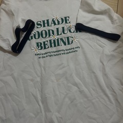 イングTシャツの画像
