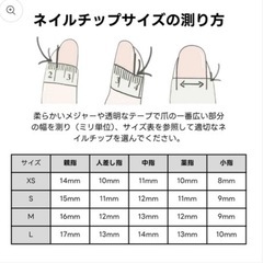 XSサイズ/未使用 ネイルチップの画像