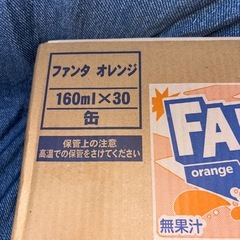 ファンタオレンジ　160ml×30缶の画像