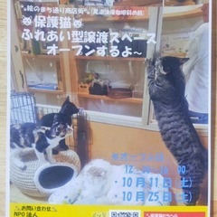 10月11日尾道で保護猫との触れ合いスペースオープン