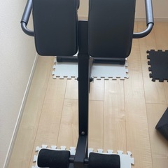 背筋マシーン　筋トレの画像