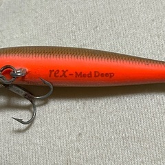 rex Med Deepの画像