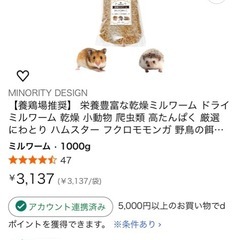 モモンガ（ハリネズミ）用飼育ご飯セットの画像