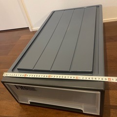 衣装ケース②高さ約17cmの画像