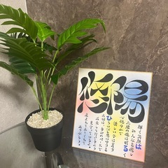オーダーお待ちしてます♫の画像