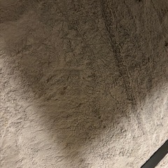 ニトリ うさぎファーラグマット 大きめサイズ グレー カーペットの画像