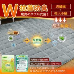 お決まりです　5日午後10時半　未使用　130X190CM グレー 1.5畳「Ｗ暖W抗菌・吸光発熱・TEIJIN中綿入り」 ラグマットの画像