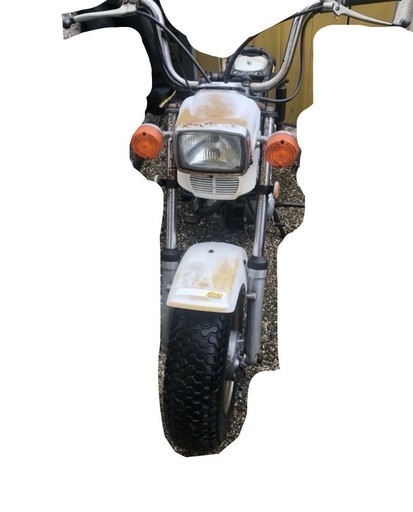 【原付バイク】ノーティダックス