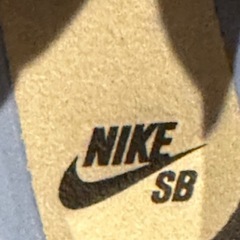 NIKE SB 28.0の画像