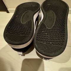 NIKE SB 28.0の画像