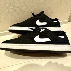 NIKE SB 28.0の画像
