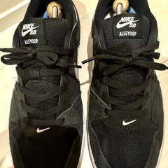 NIKE SB 28.0の画像