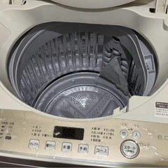 SHARP 縦型洗濯機 ホワイトの画像