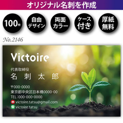 名刺印刷 100枚 両面 フルカラー 紙ケース付 No.2146