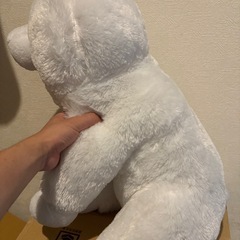 サモエド　ぬいぐるみ　BIGの画像