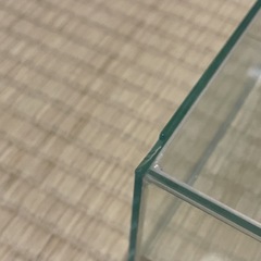 取引中/小さな水槽の画像